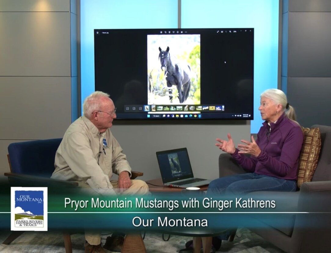 PRYOR MOUNTAIN MUSTANGS WITH GINGER KATHRENS